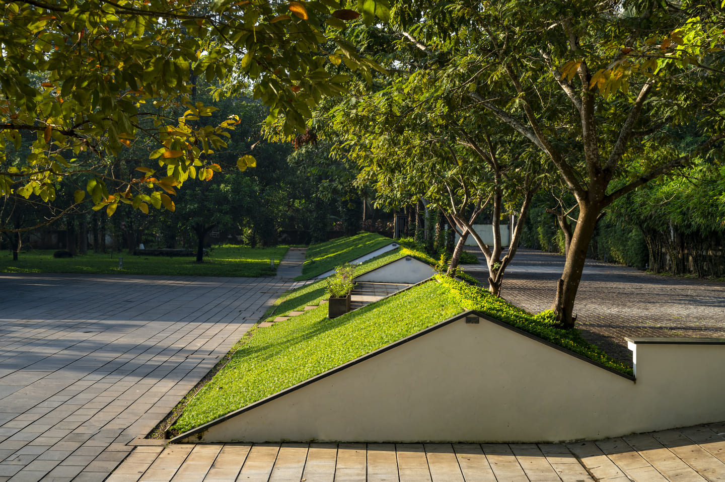 Lucid Home Garden - 4